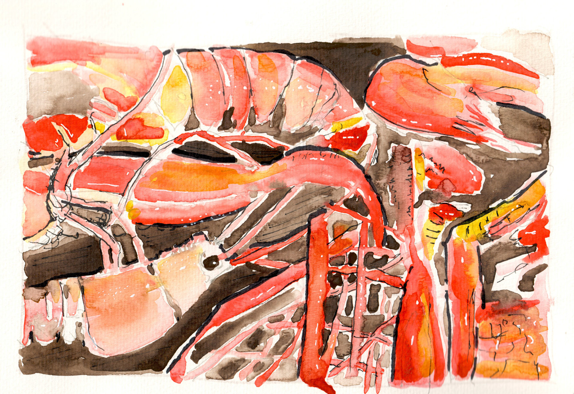 Granada Market Catch