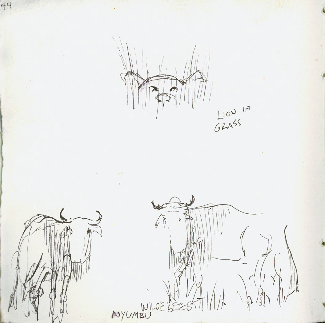 Lion in Grass | Wildebeest
