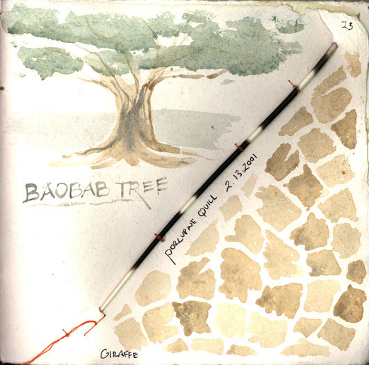 Baobab Tree, Porcupine Quill, Giraffe pattern