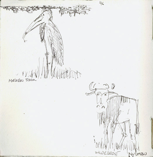 Maribou Stork | Wildebeest