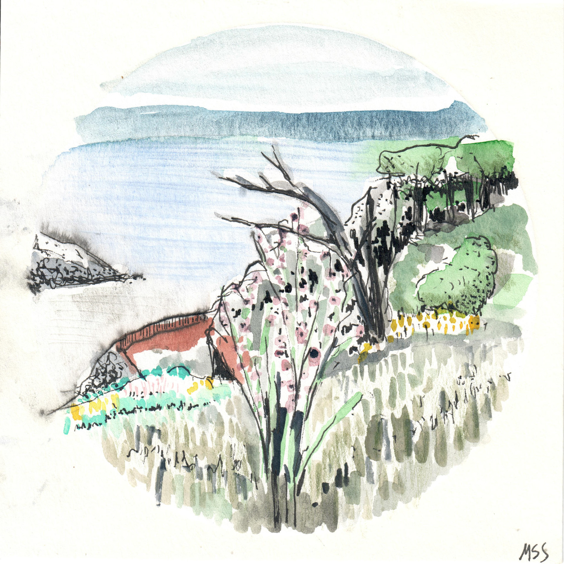 6"x6" Watercolor and Ink on Watercolor Paper