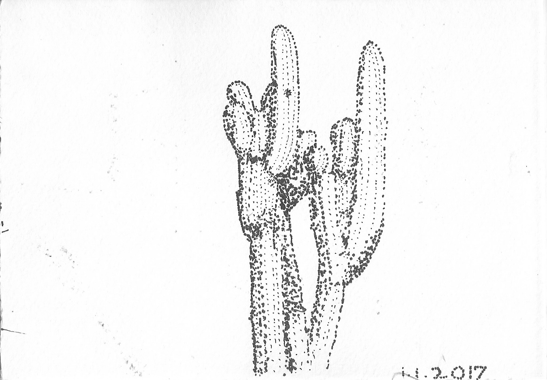 stipple drawing
