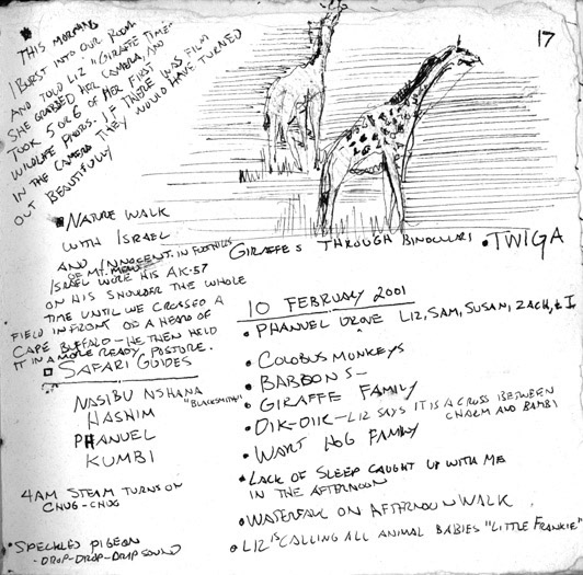 Giraffe through Binoculars