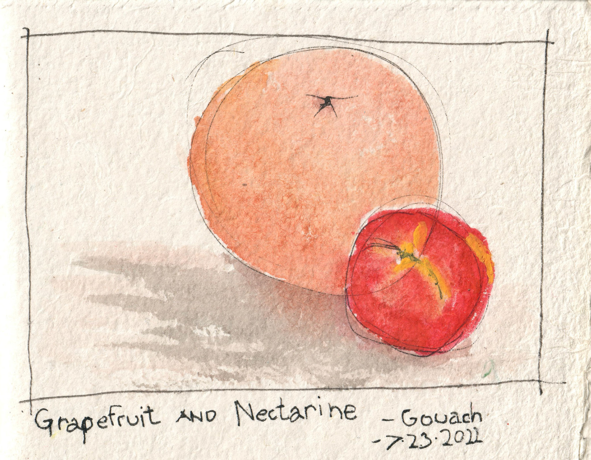 Grapefruit &amp; Nectarine | Kitchen Sink
