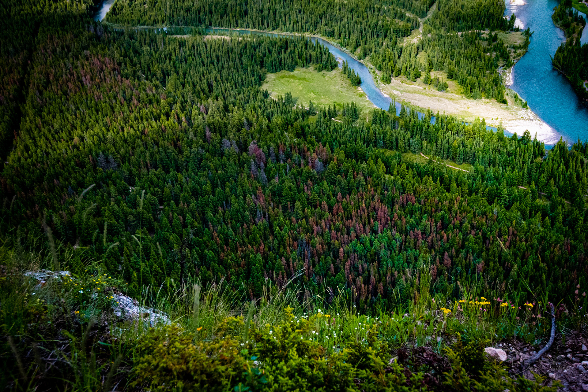View from Tunnel Mountain, Banff AB