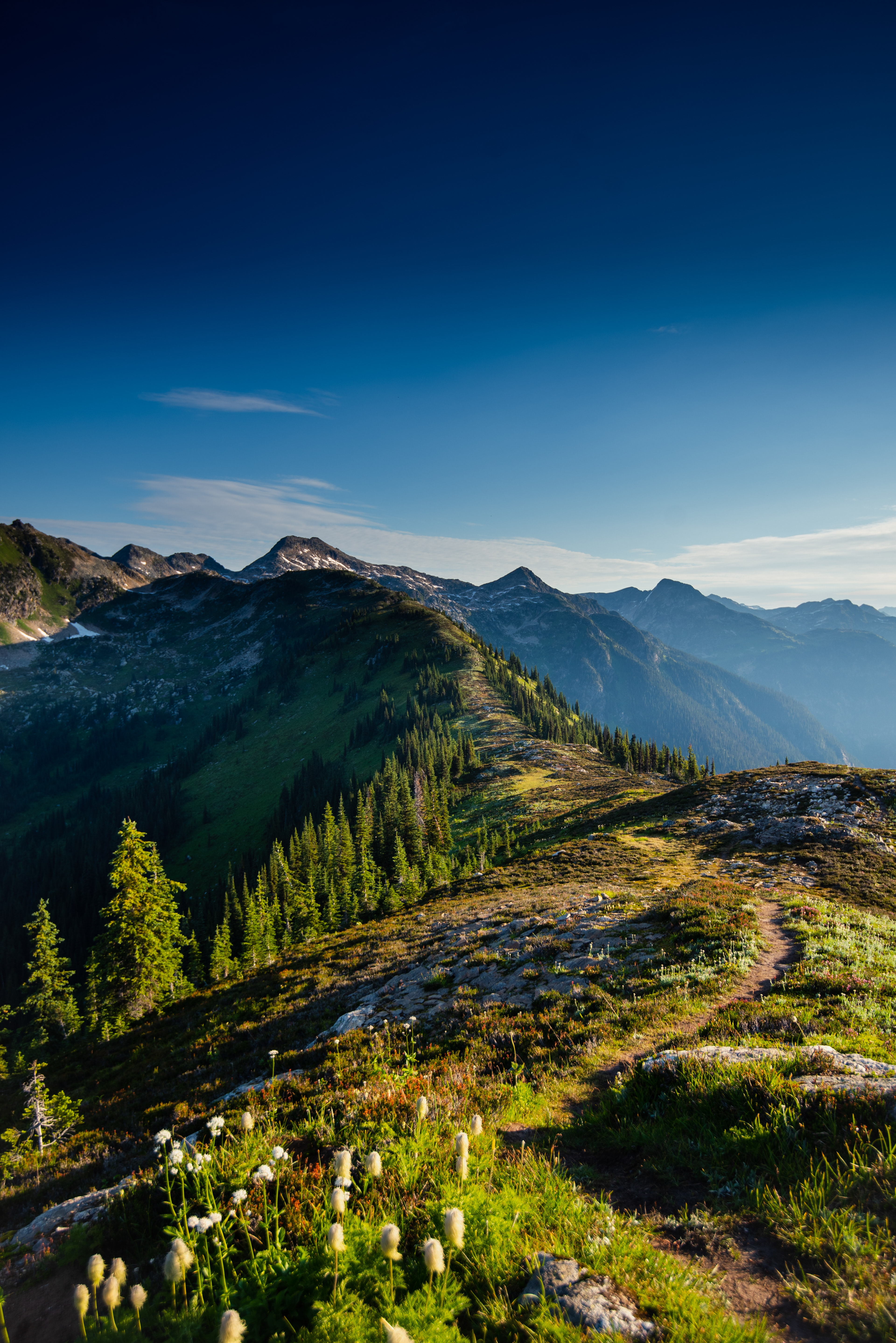 Wavy Ridge, Wells Gray Provincial Park BC