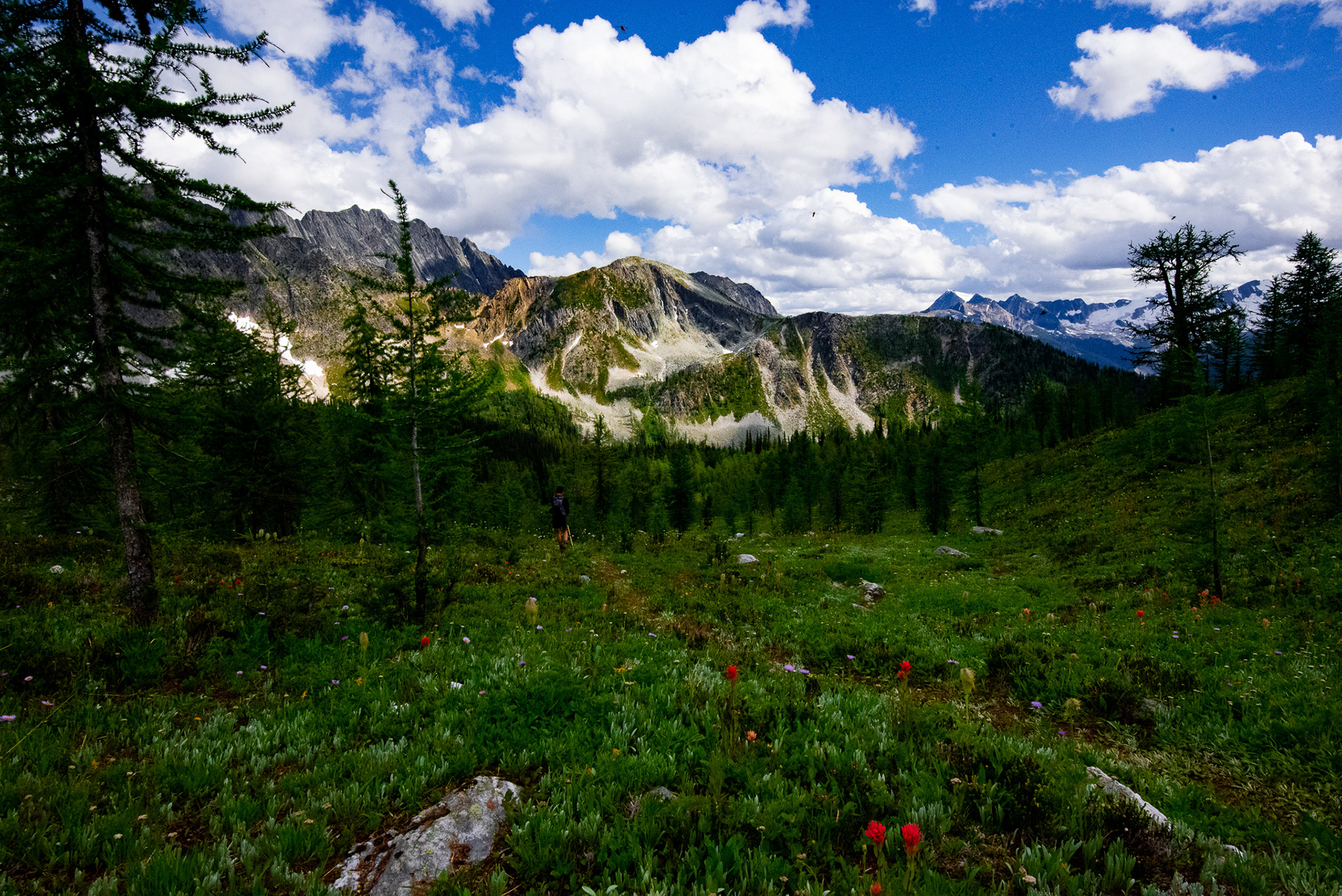 Monica Meadows, BC