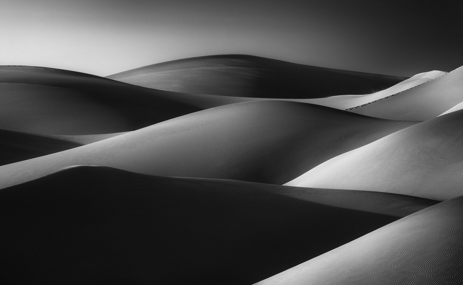 Golden Waves - Liwa