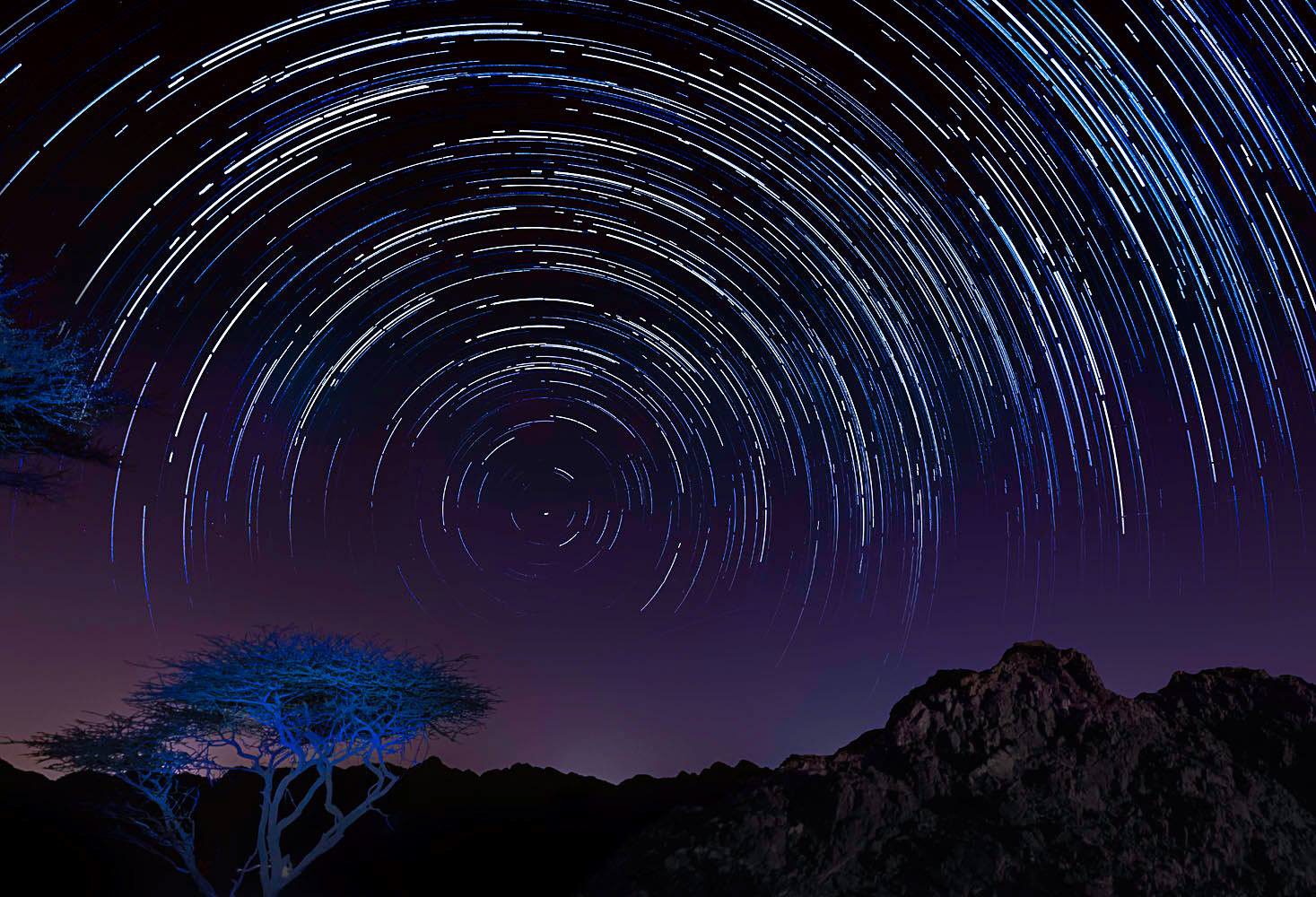 Starry Nights