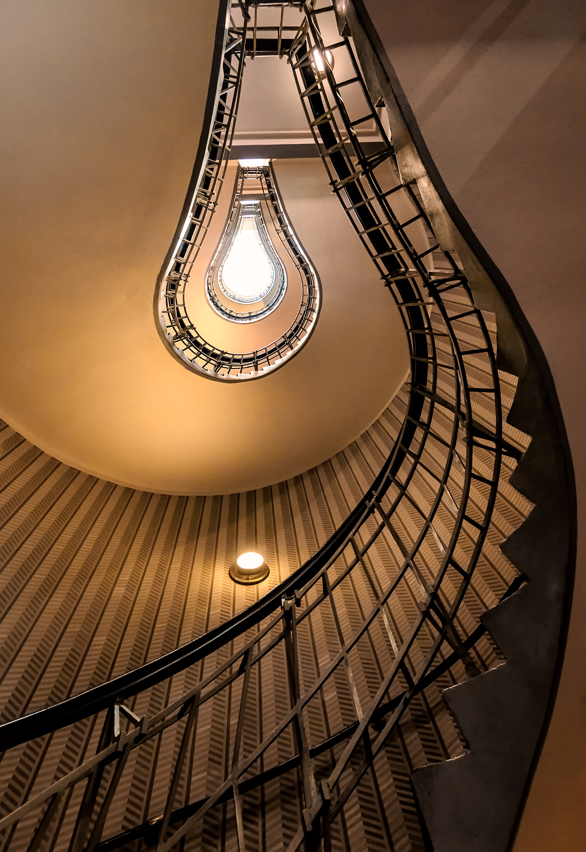 Light Bulb