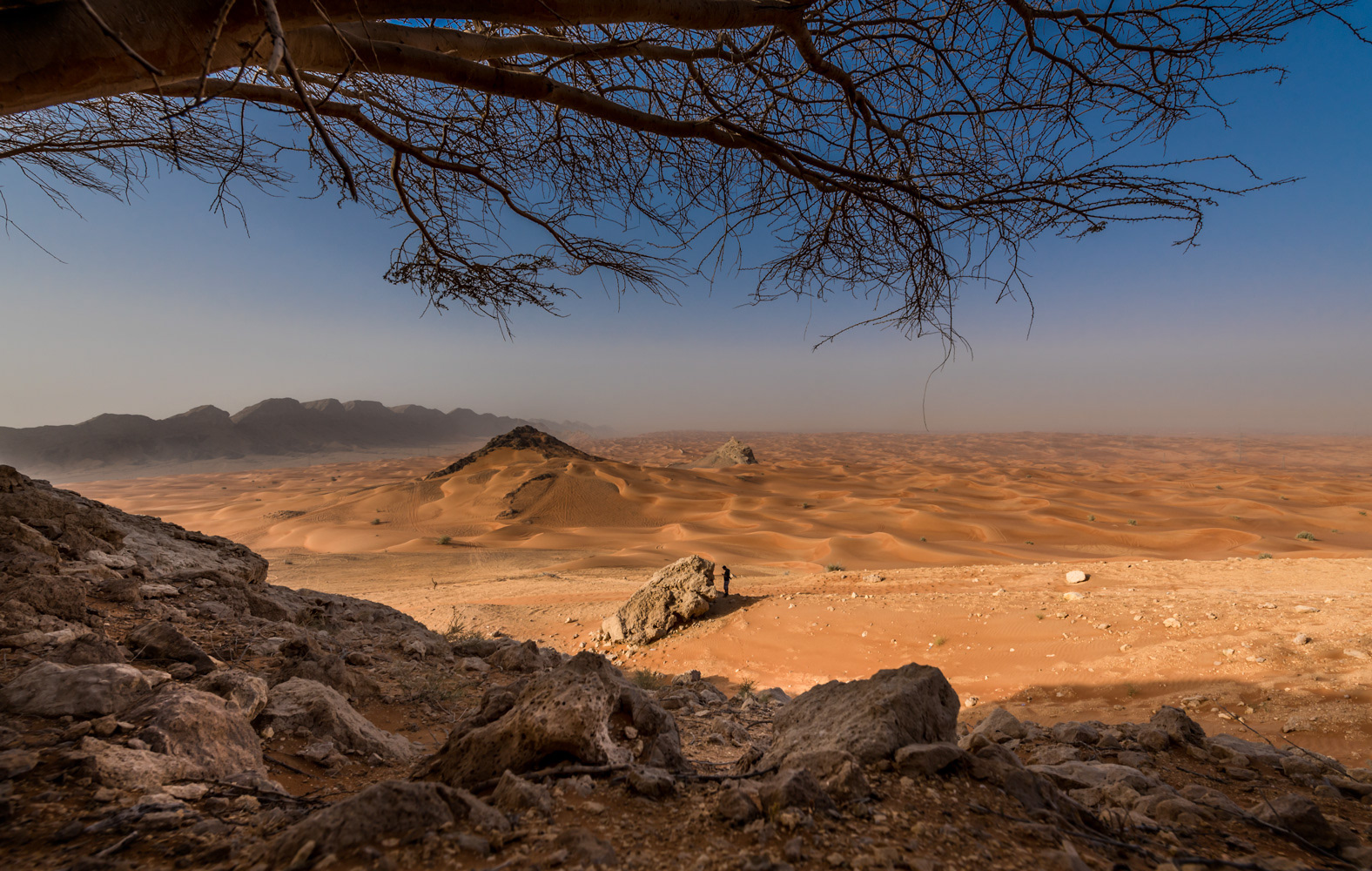 Sharjah Desert