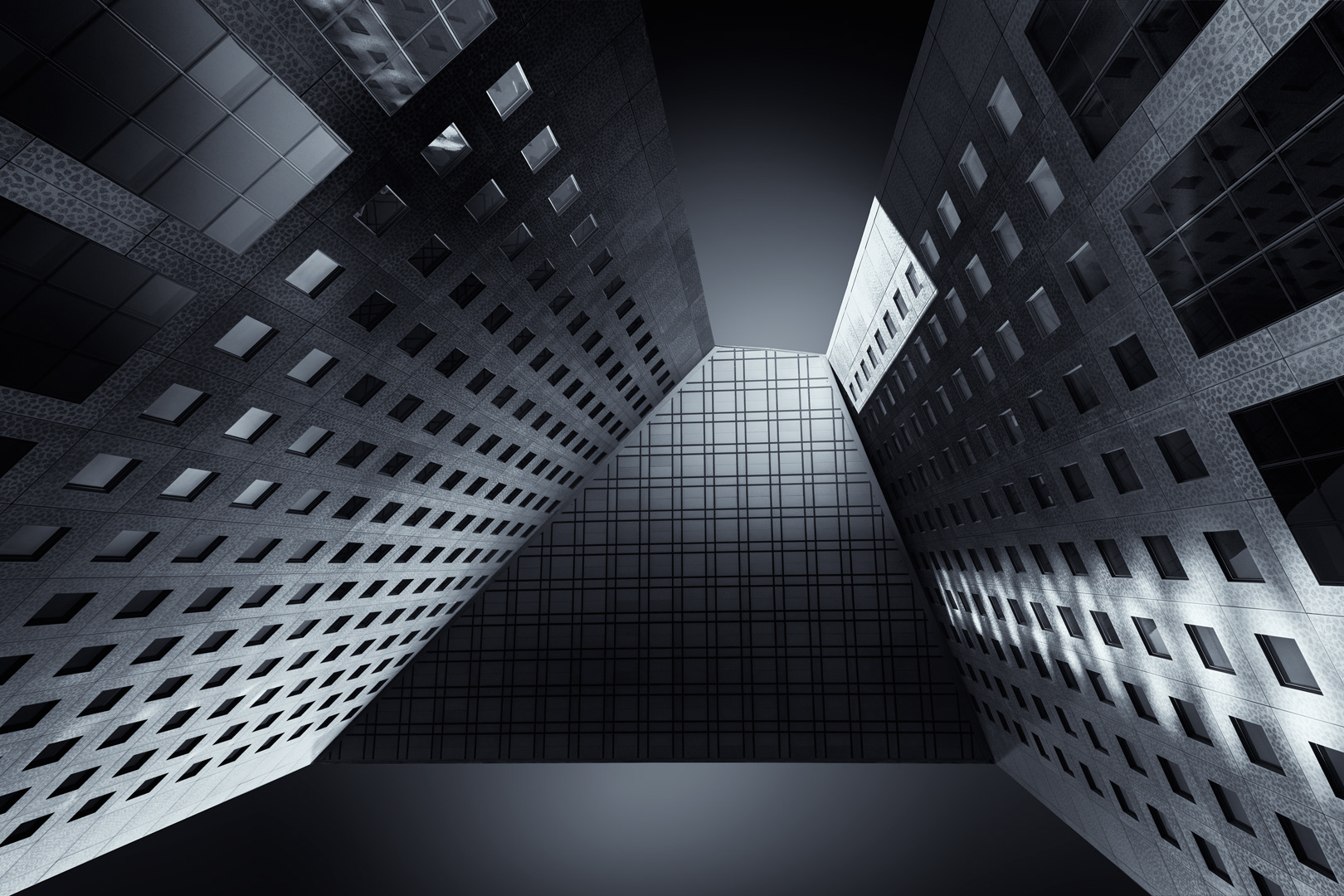 Into the Light