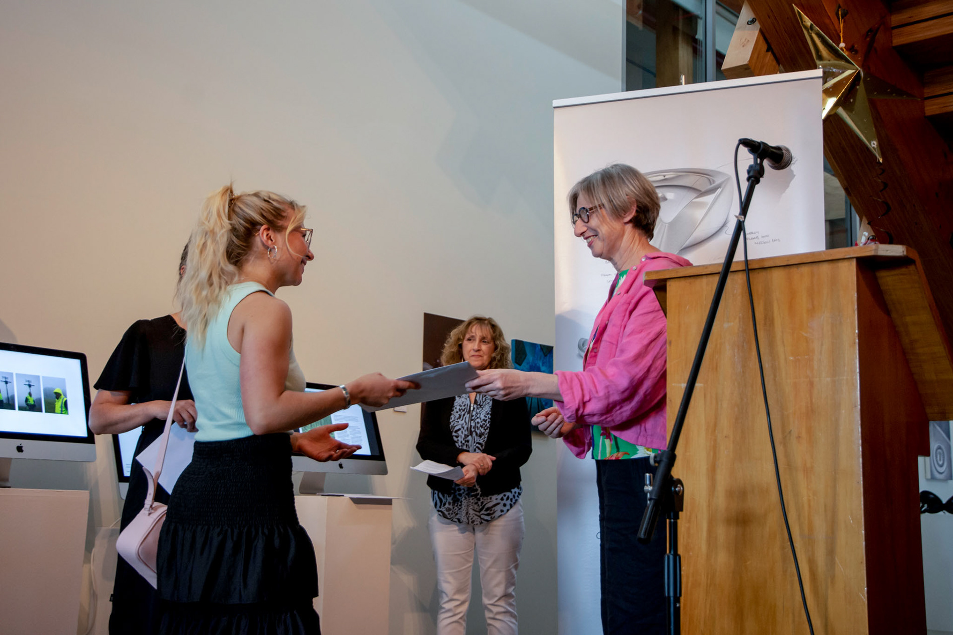 Framing Rooms Distinction Award / © Rachel Hampton