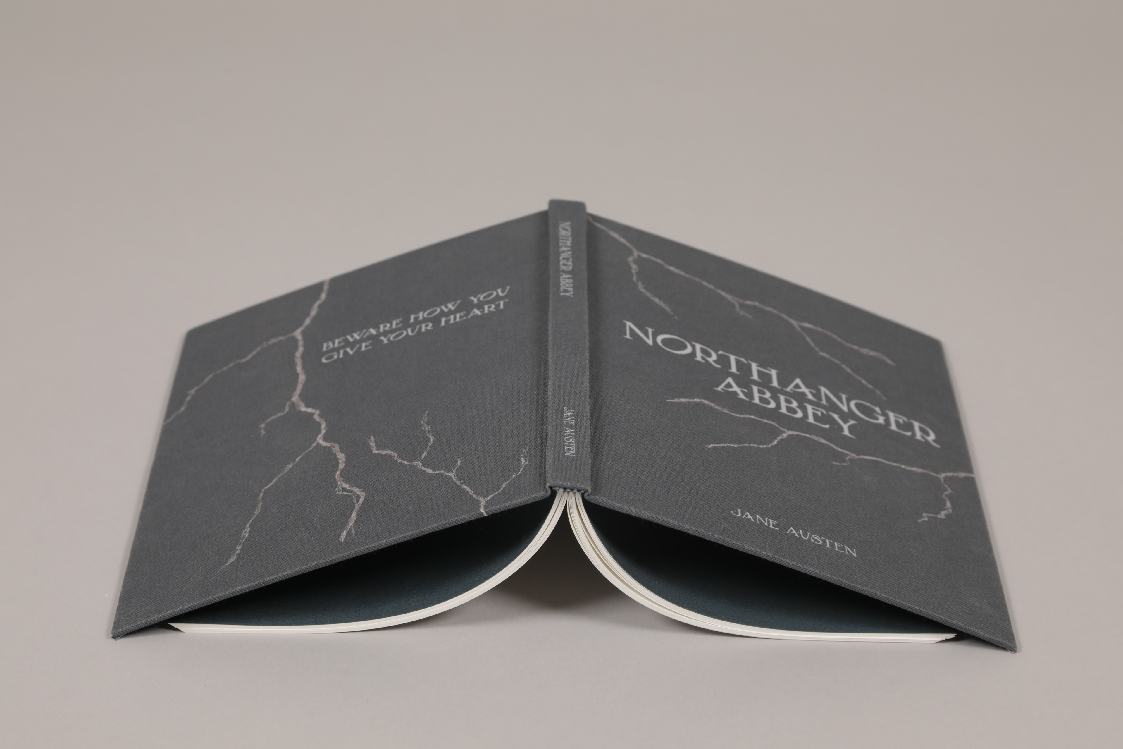 whole cover, spine, text block, and endpapers