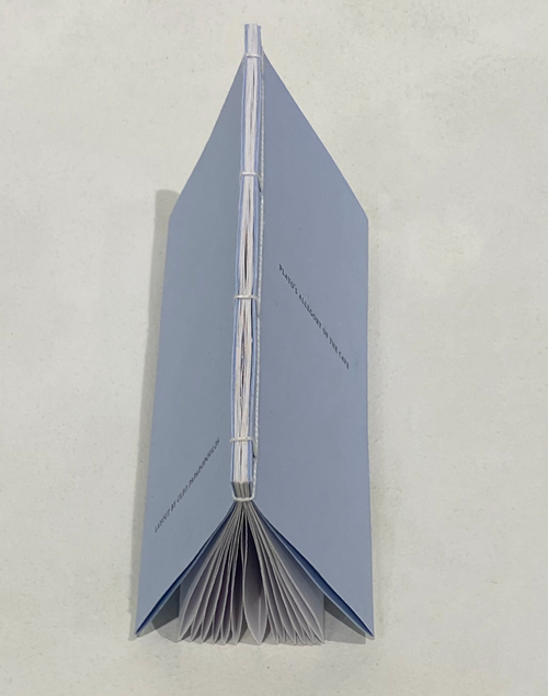 detailing of japanese-bound spine and french fold