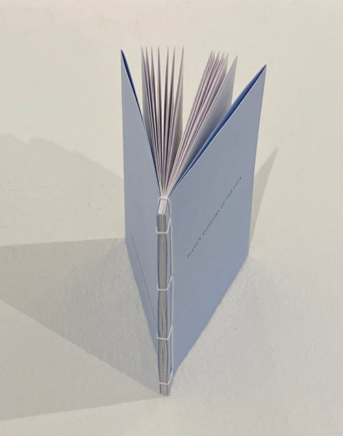 detailing of japanese-bound spine and french fold