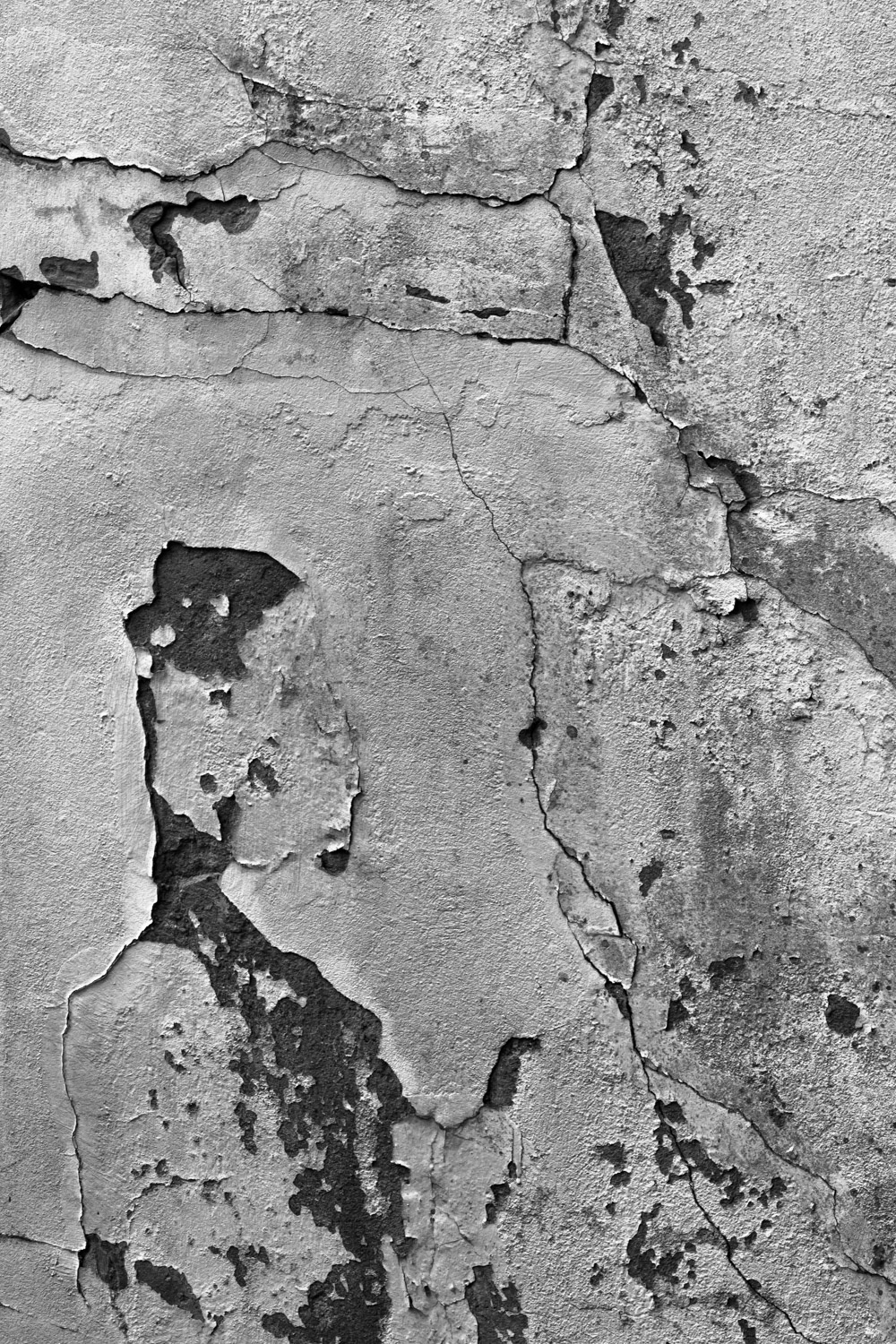 the Guy on the Wall