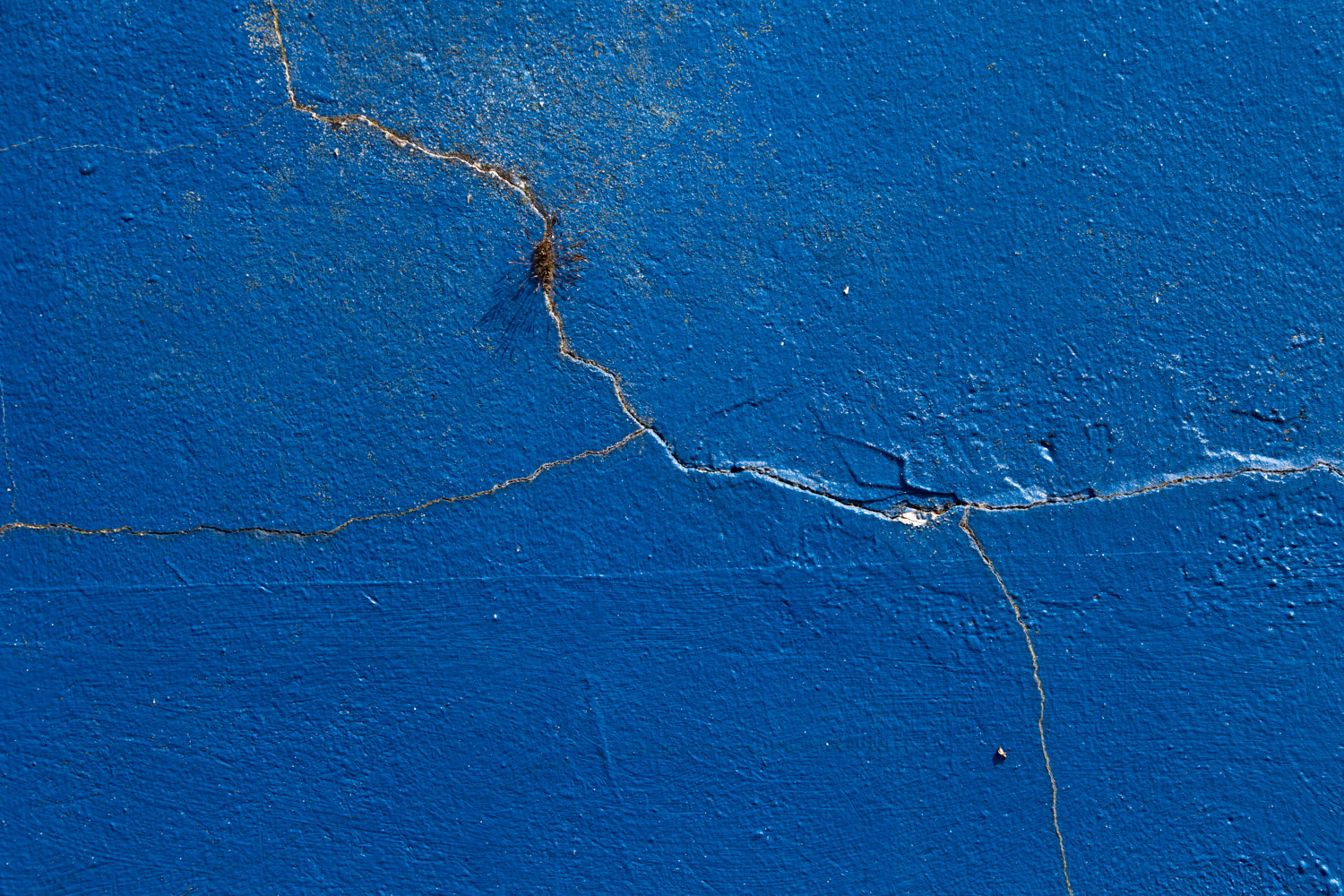 Cracks in the Blue, growing
