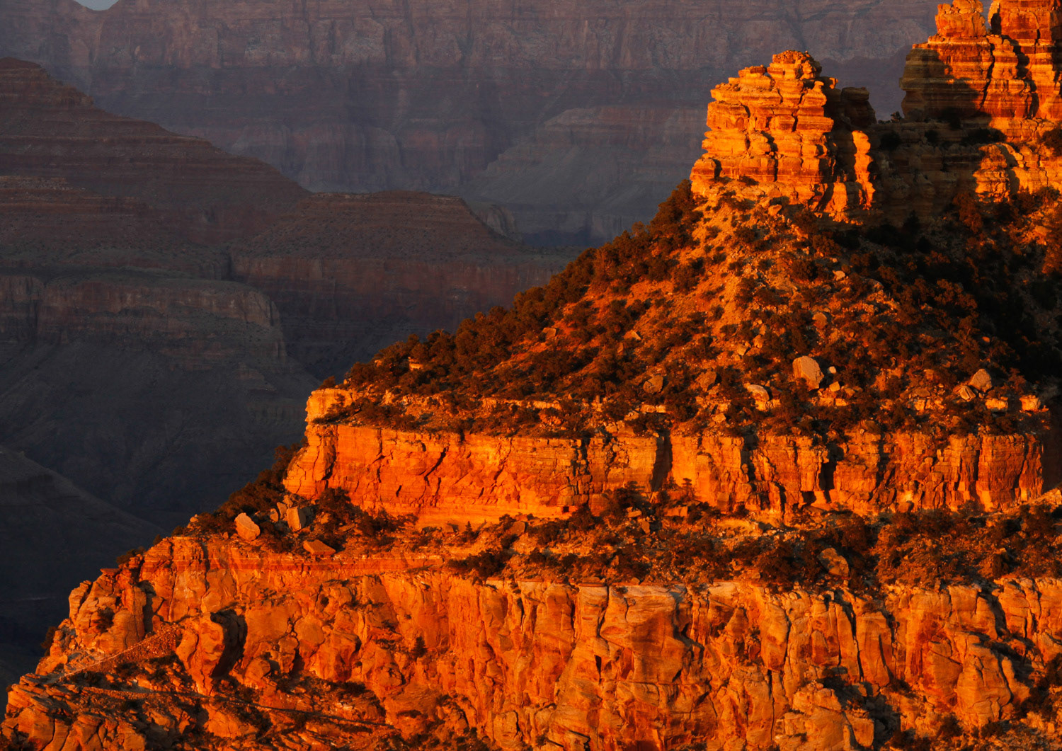Grand Canyon