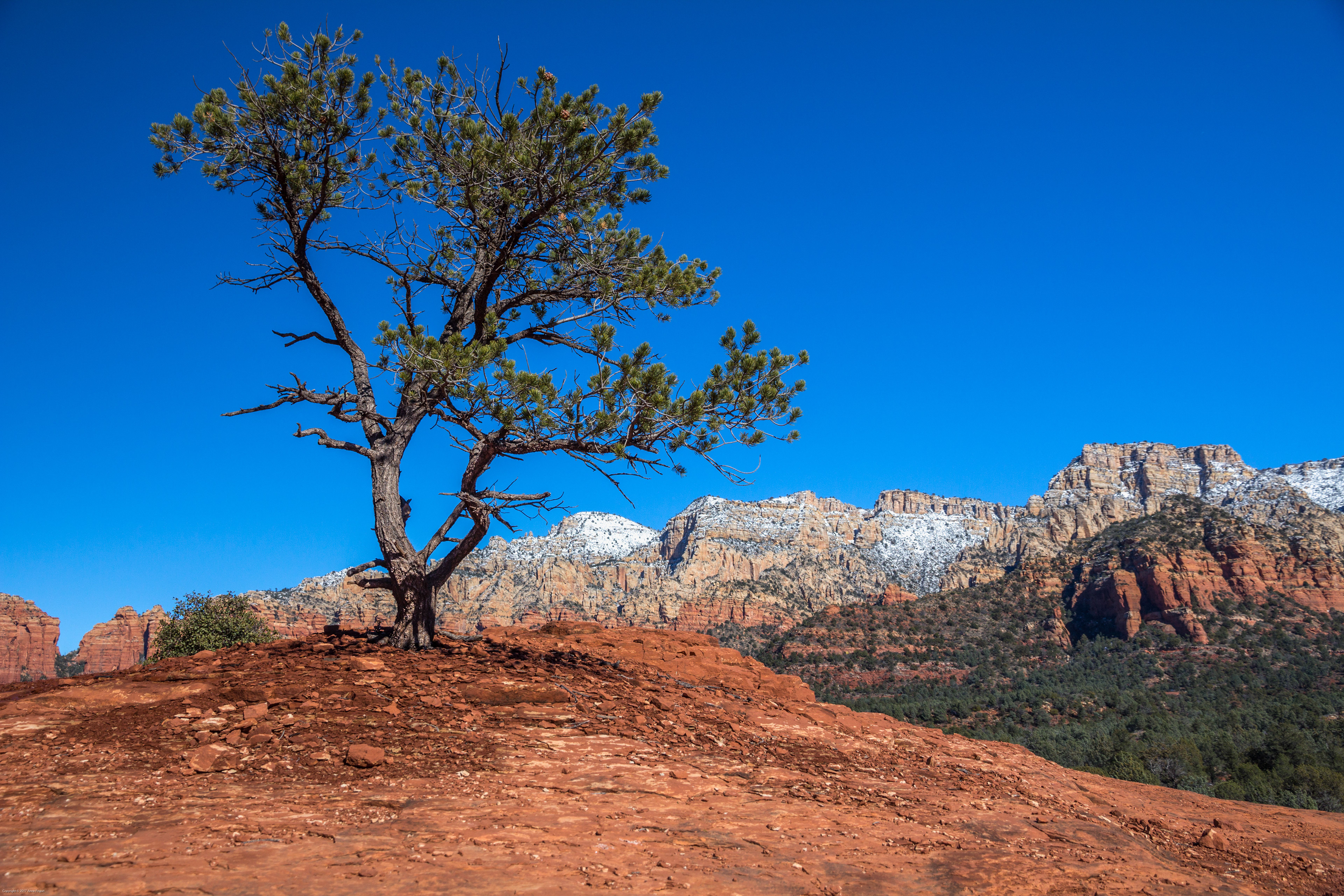 Sedona, AZ