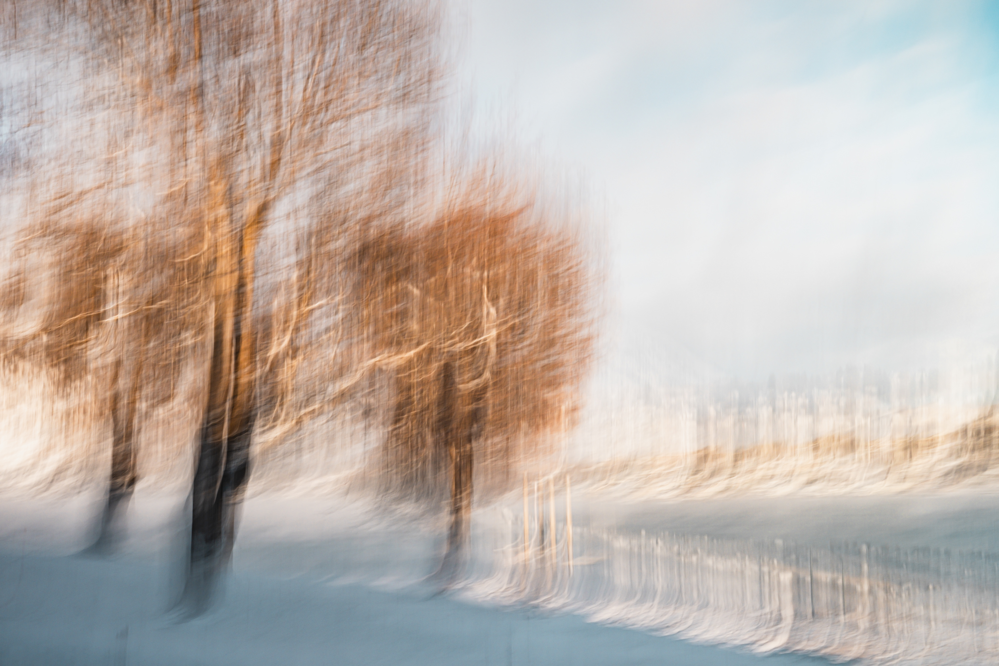 Winter Orange & Brown 1/4