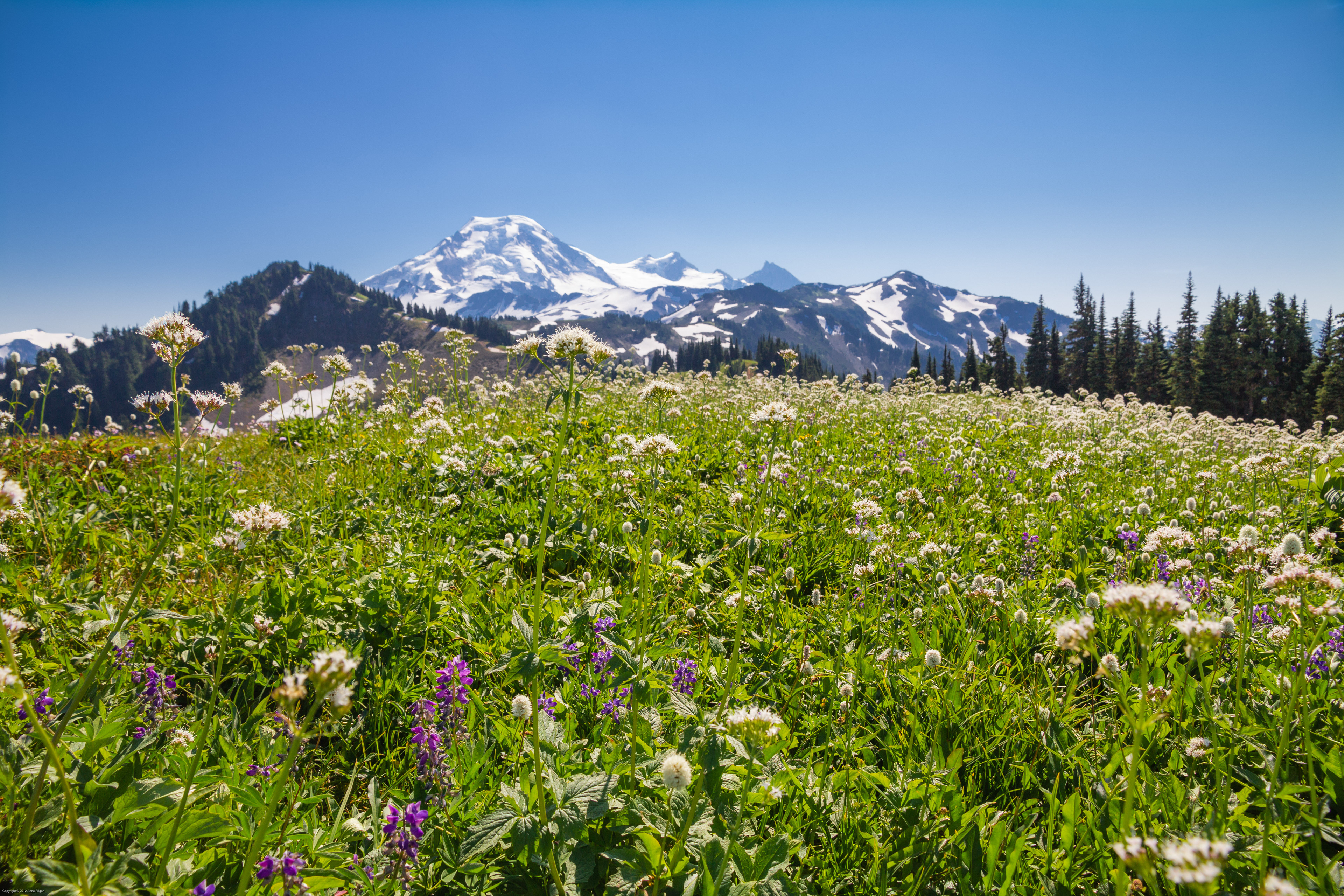 Mount Baker, WA