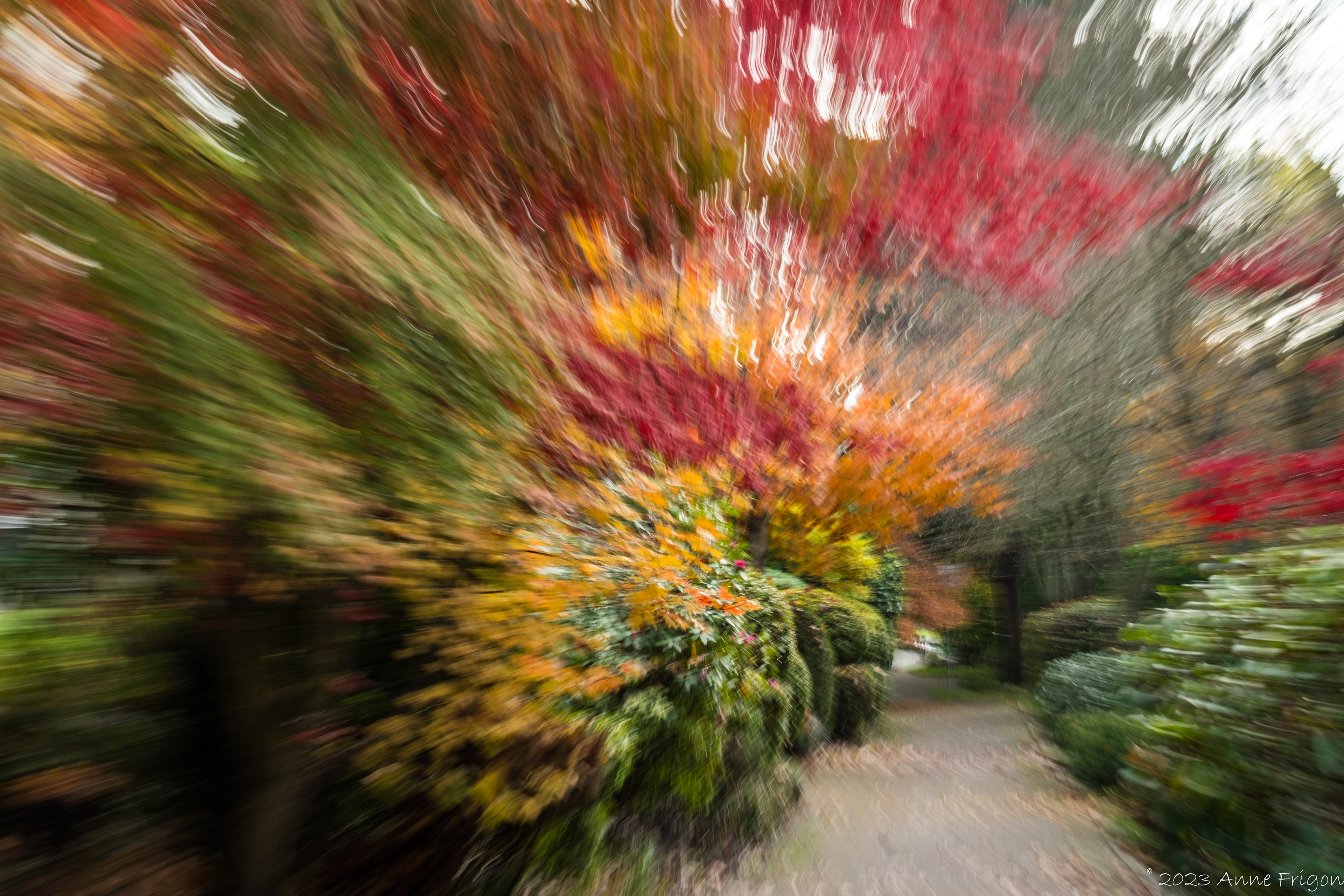 Tapestry - Hillside Pathway