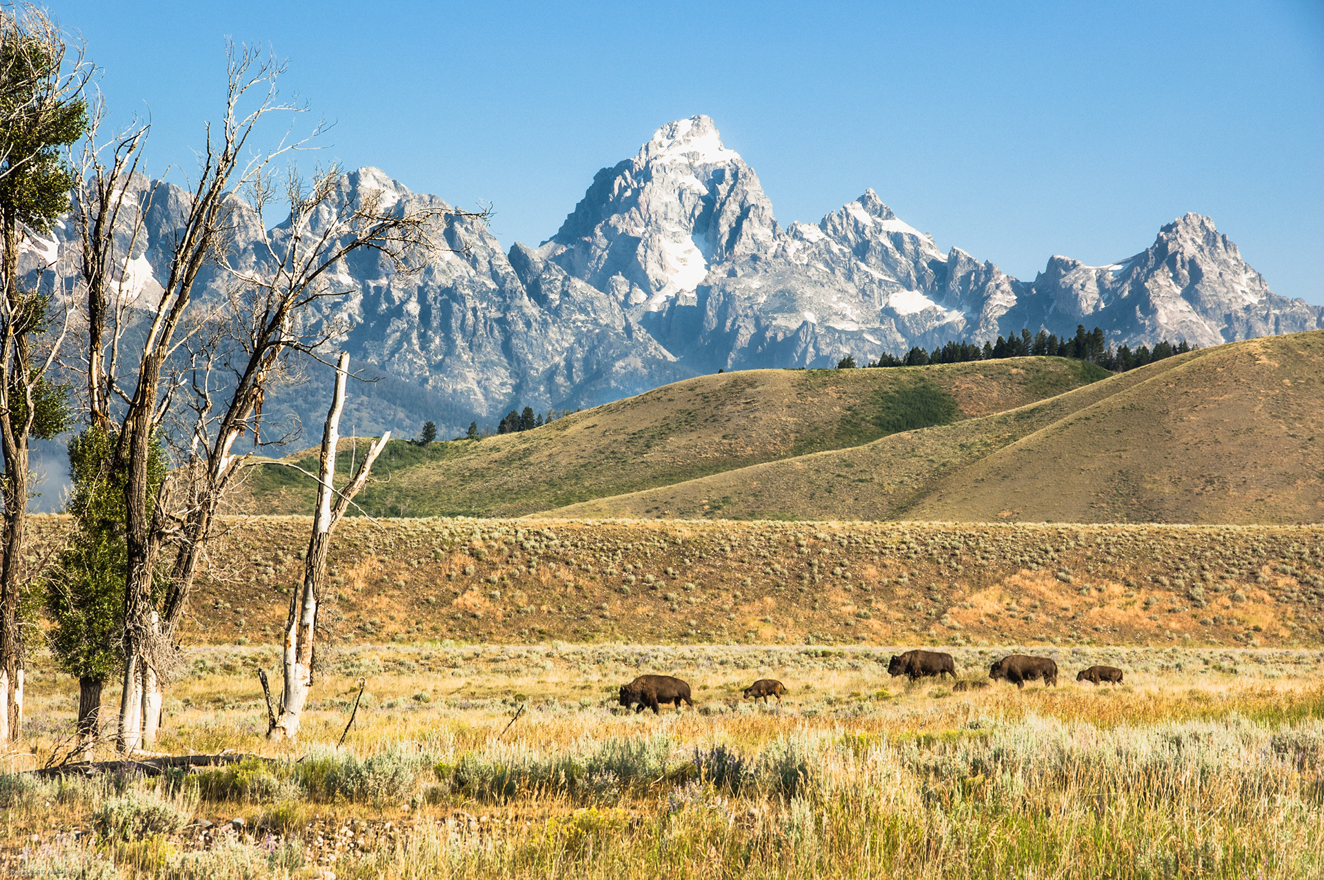 Teton National Park, WY