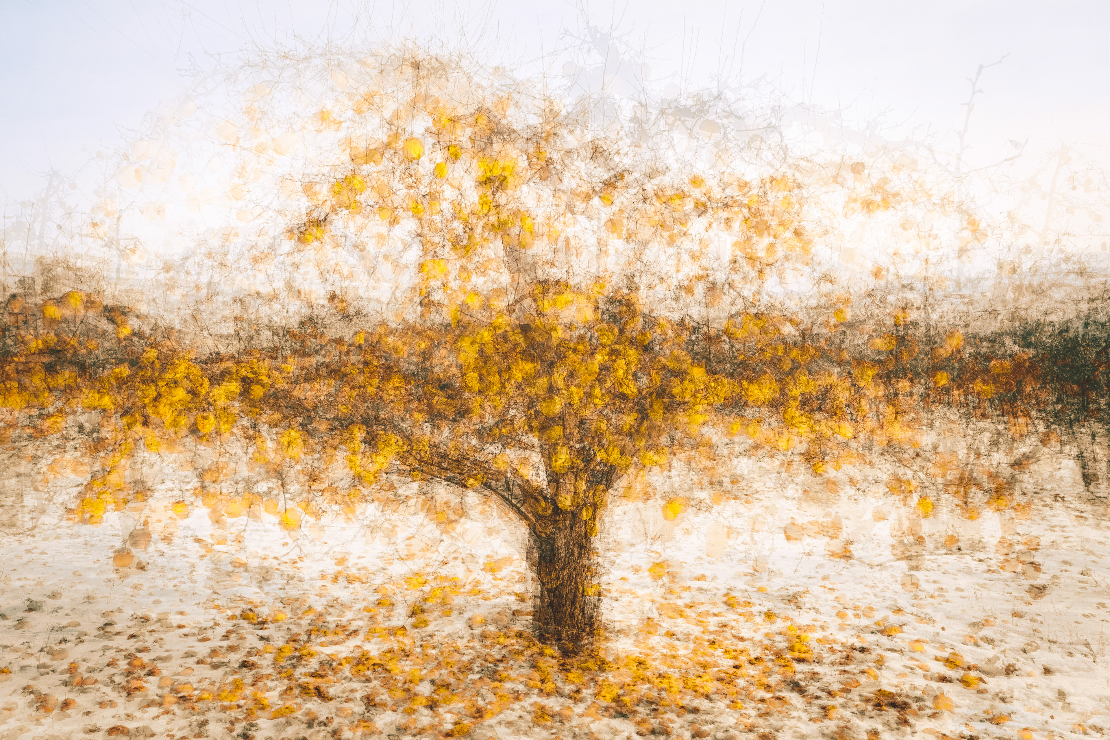 Winter Orange & Brown 2/4