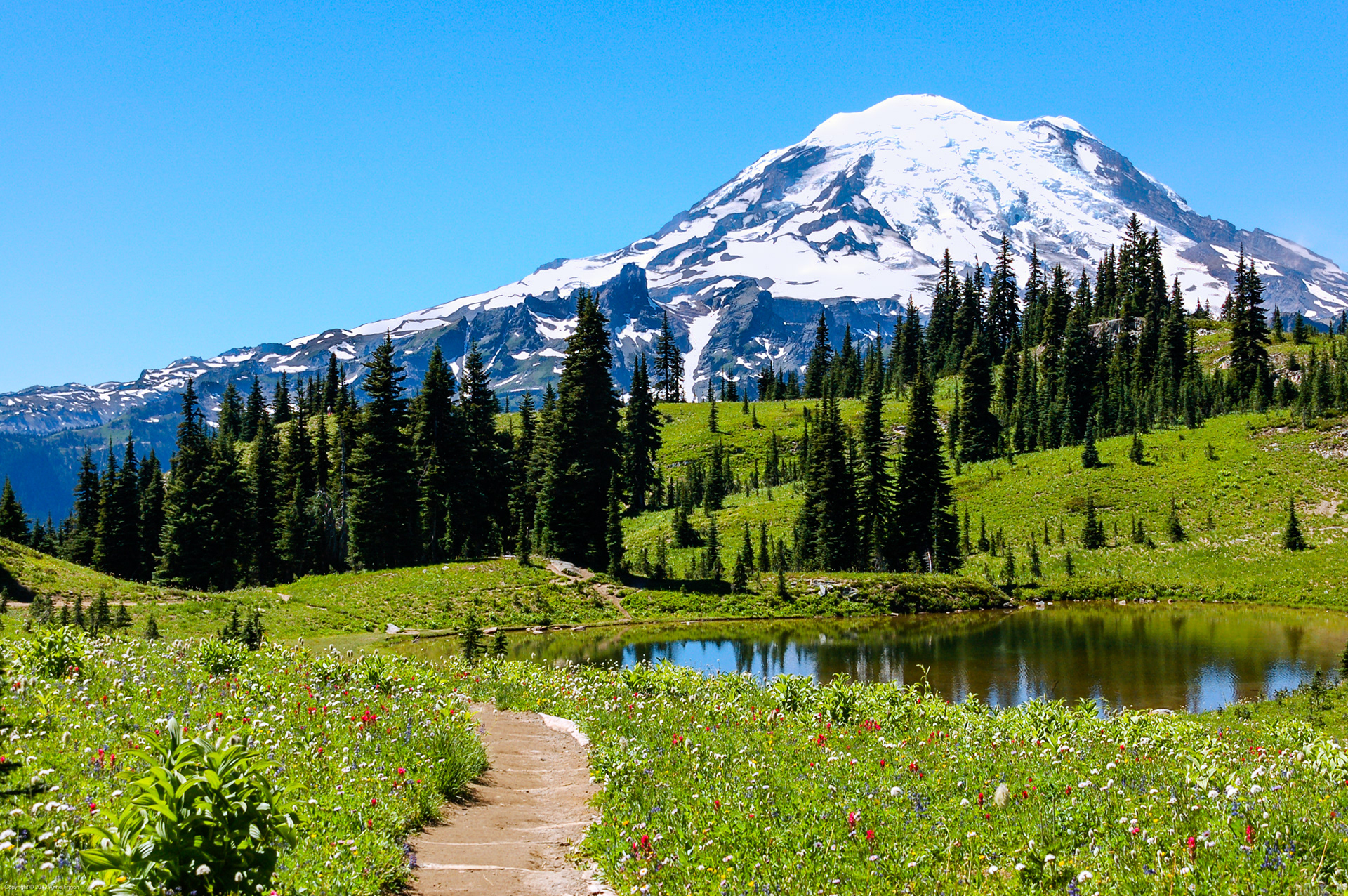 Mount Rainier, WA