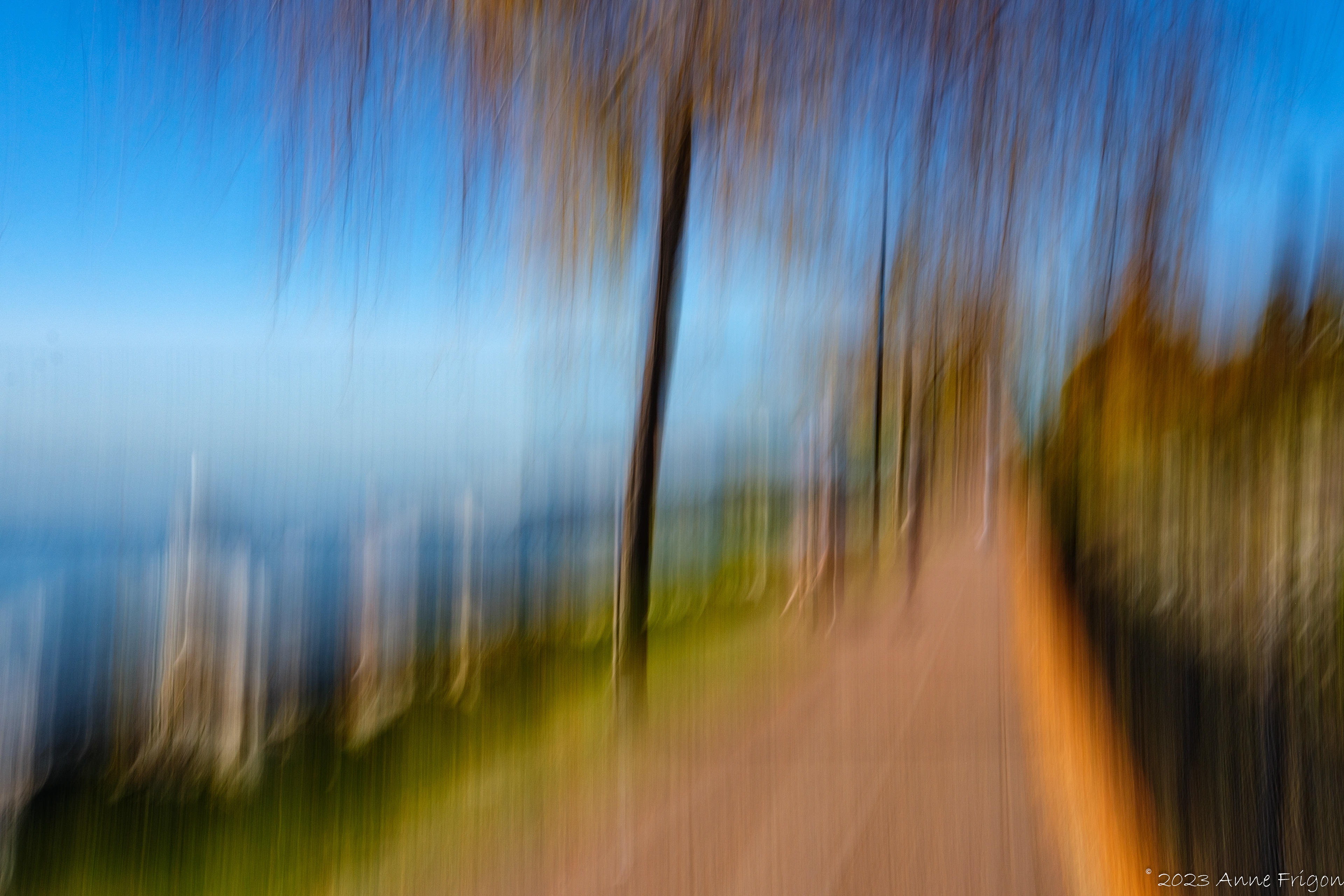 Contiguous - Promenade Beside Waterfront