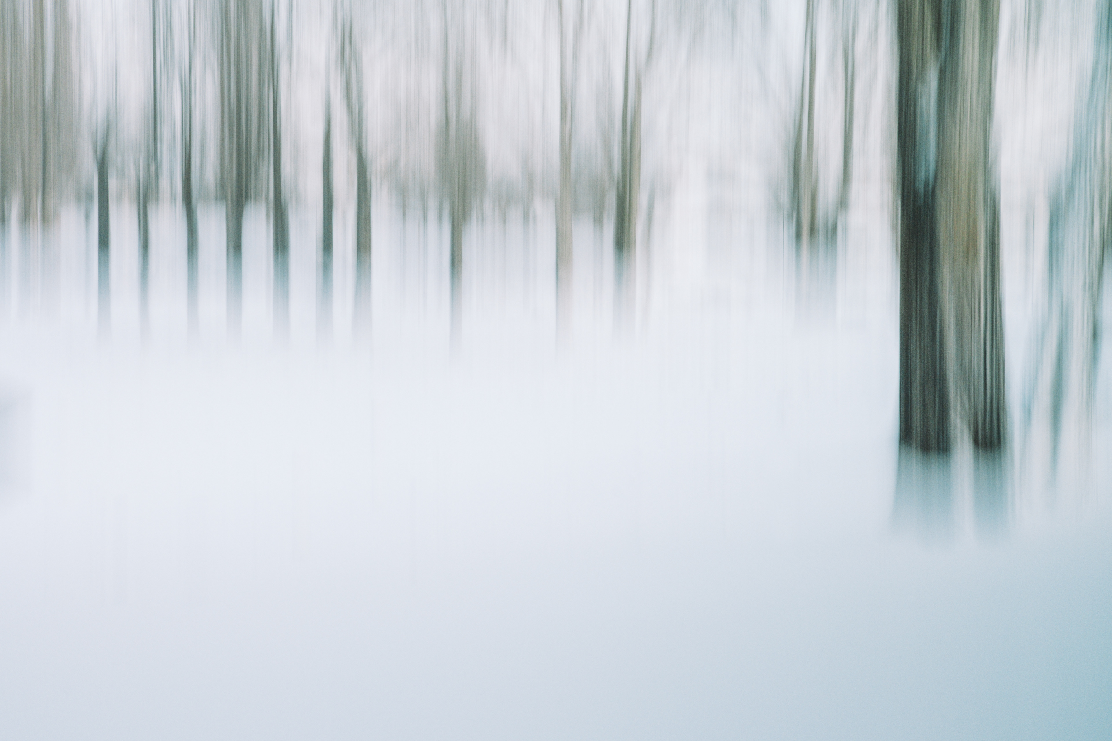 Winter Whites 5/5