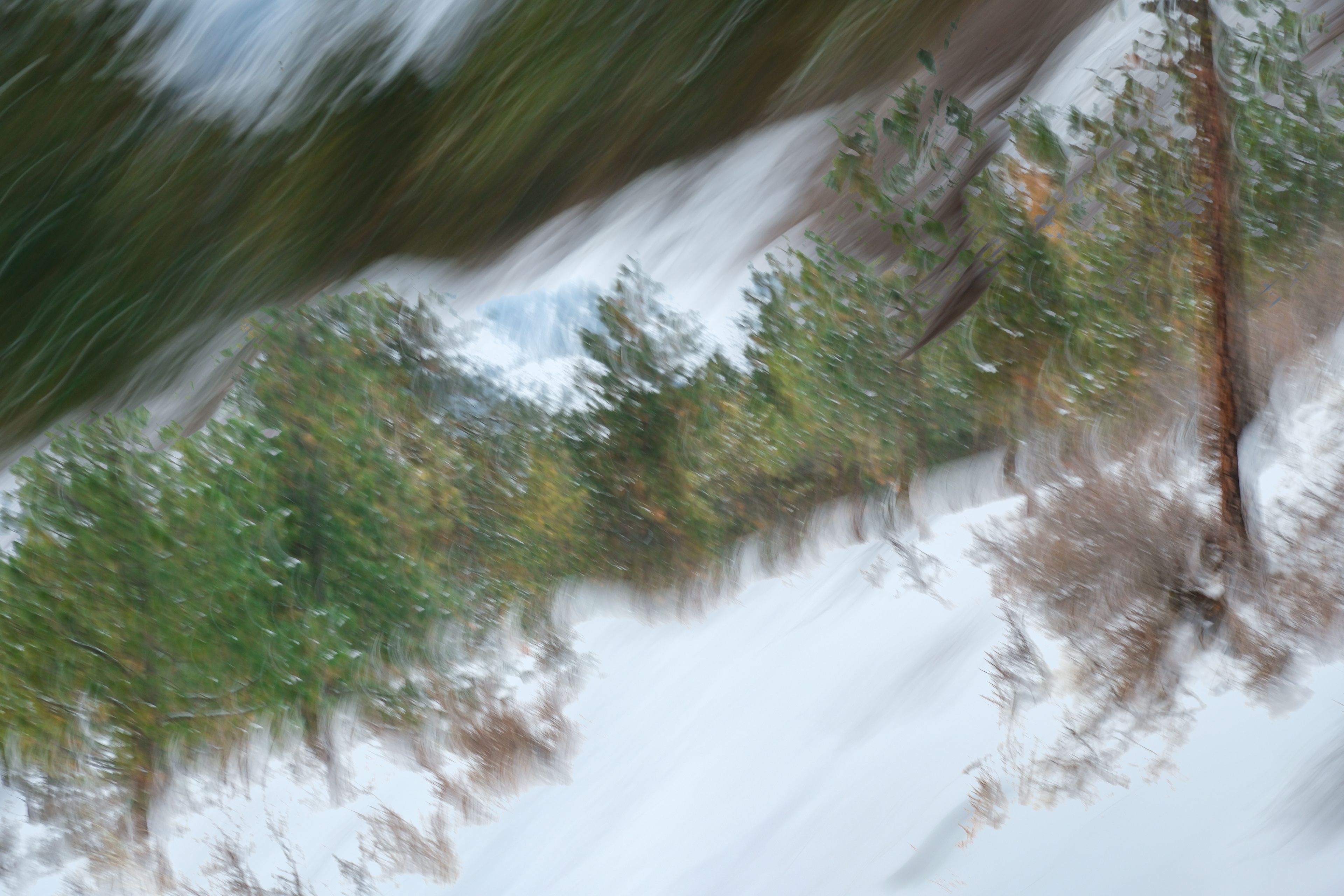 Winter Greens 1/5