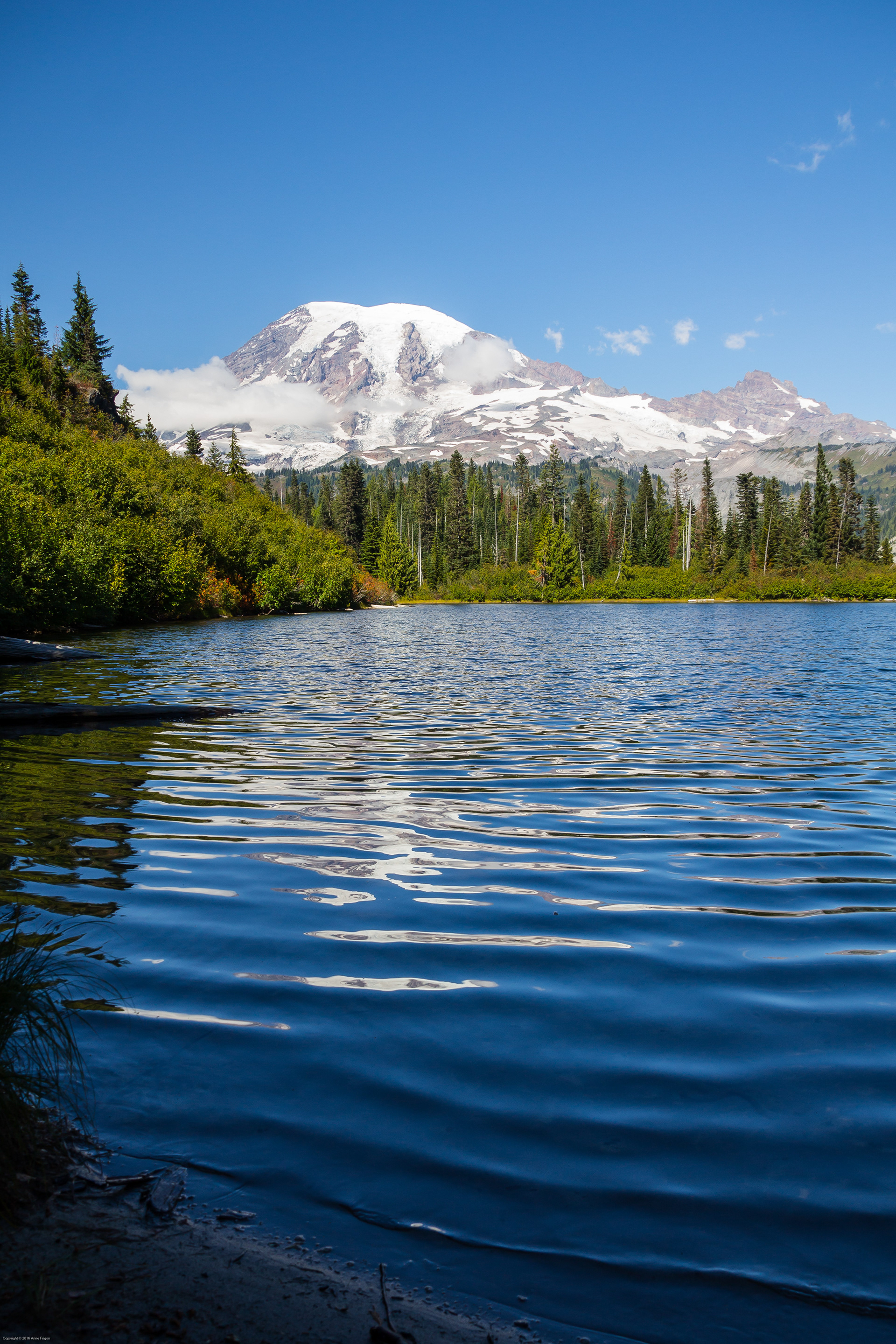 Mount Rainier, WA