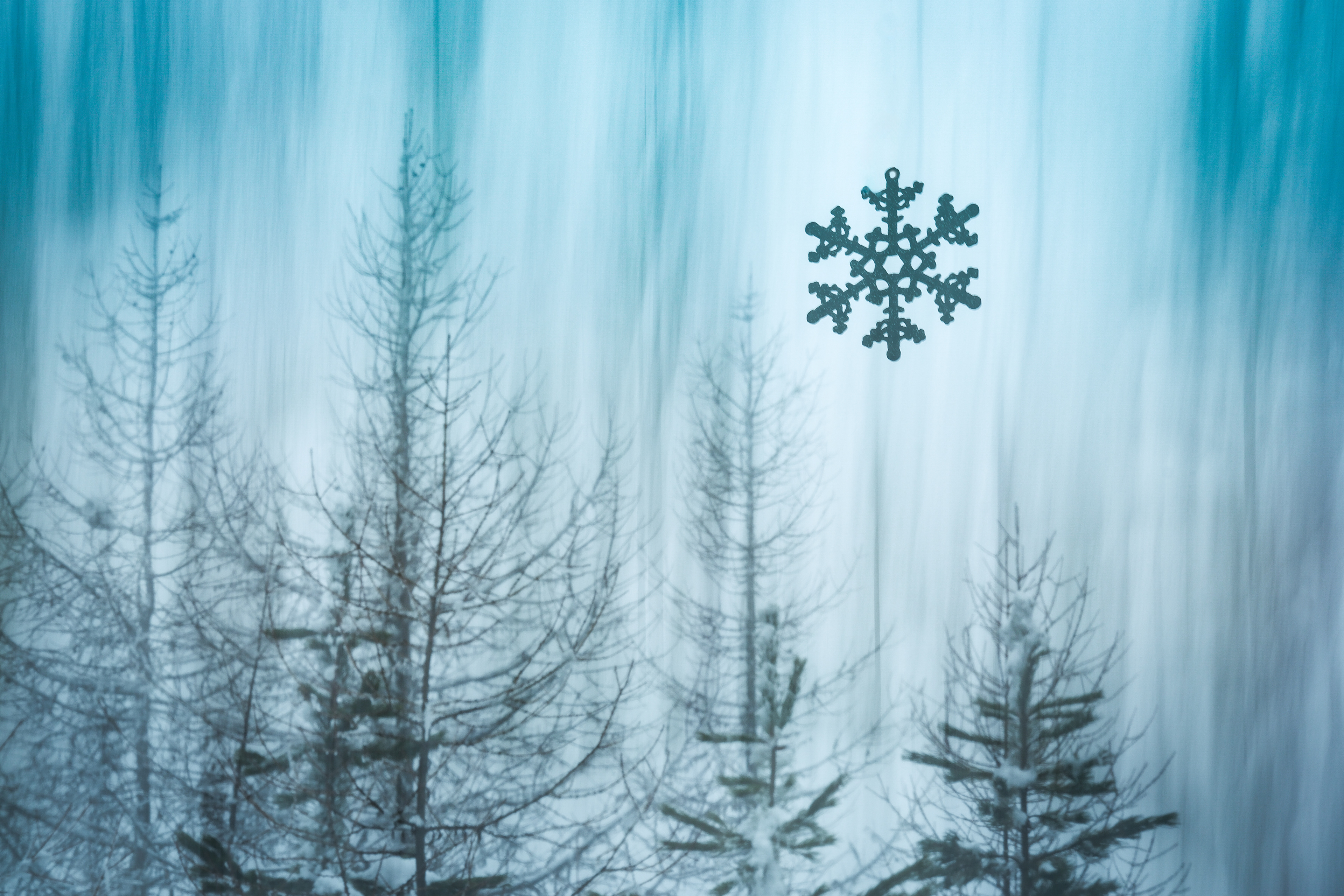 Winter Blues 1/6