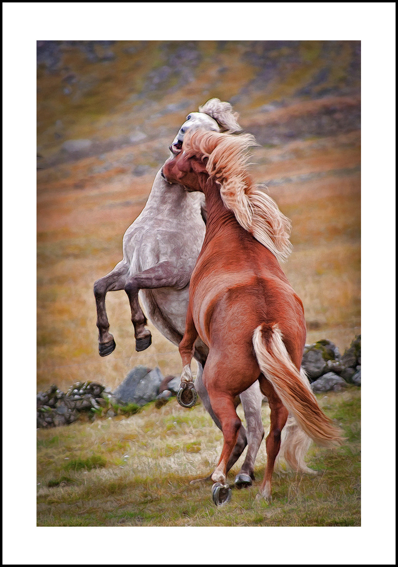 horses-4x6: 424