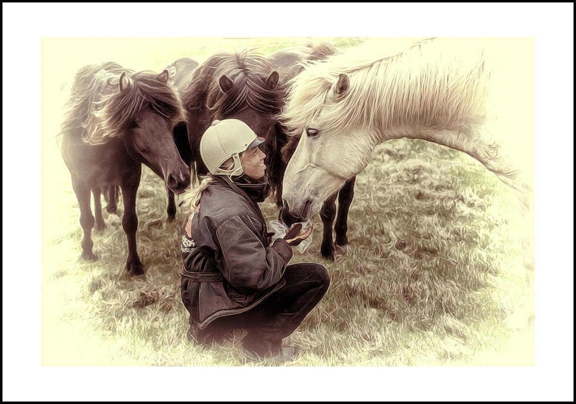 Horses-4x6: 204