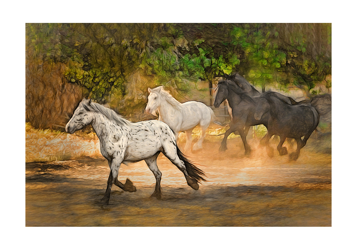 horses-4x6:-32