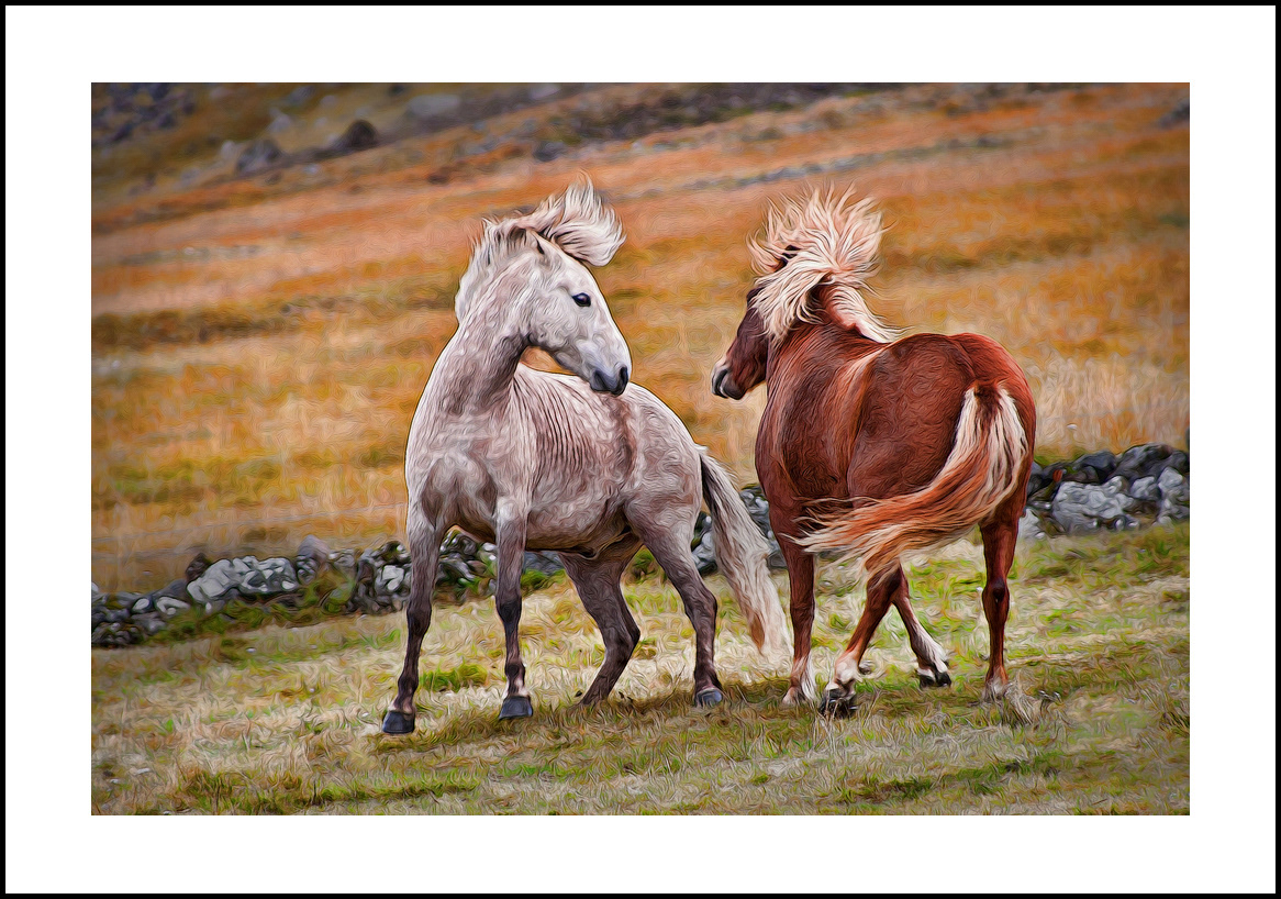 horses-4x6: 422