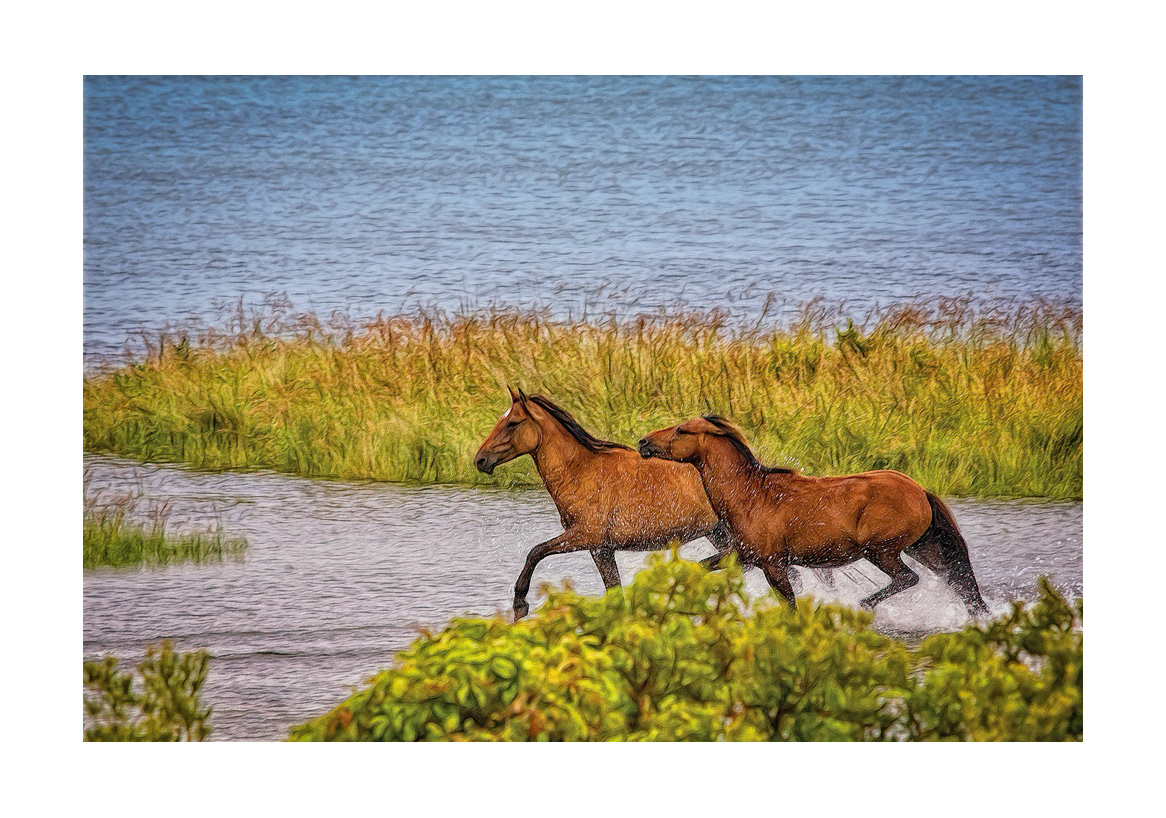 horses-4x6:-96