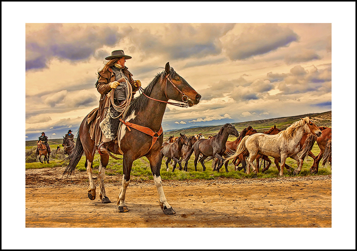 horses-4x6: 06