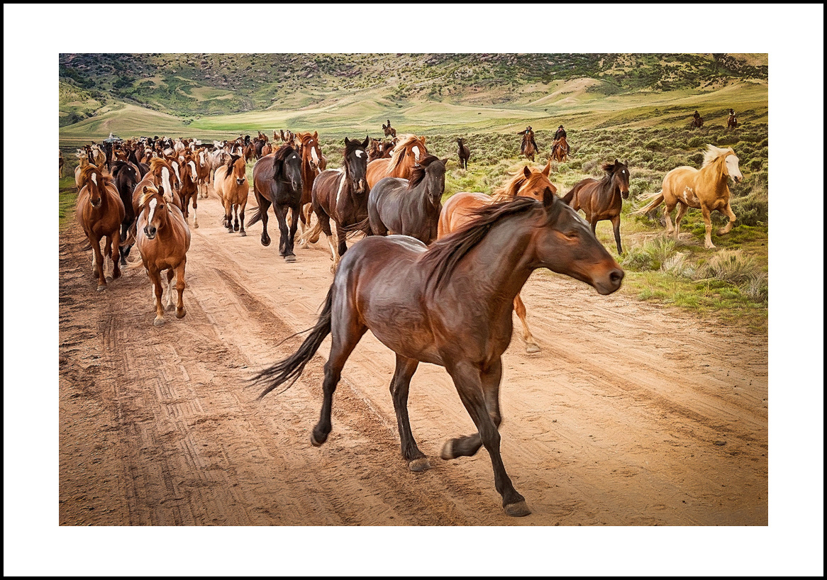 horses-4x6: 440