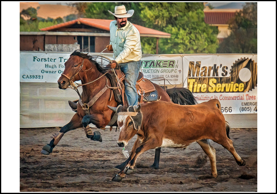 horses-4x6: 29