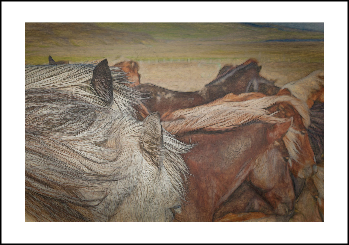 horses-4x6: 417