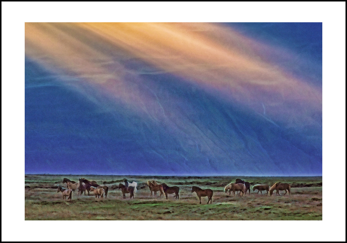 horses-4x6: 414