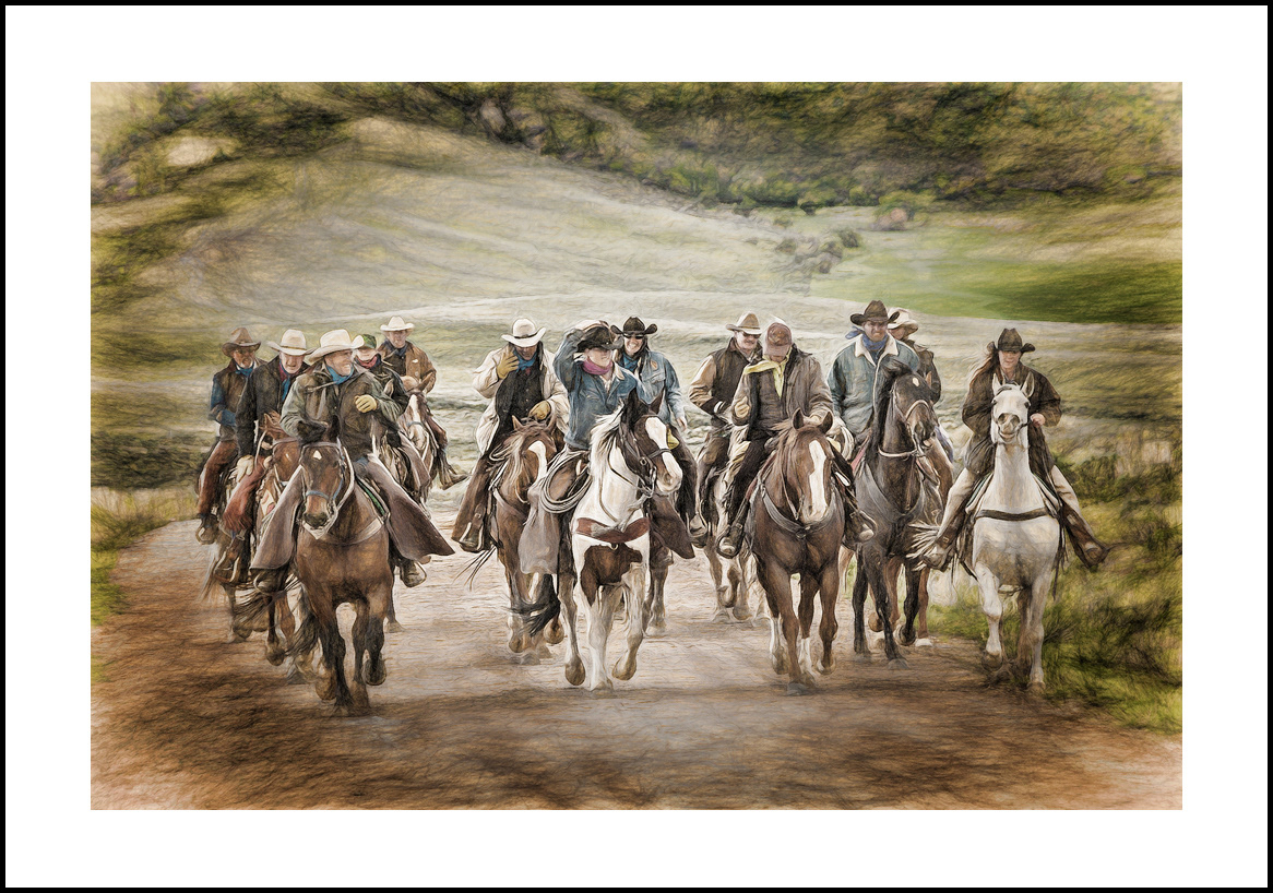 horses-4x6: 441