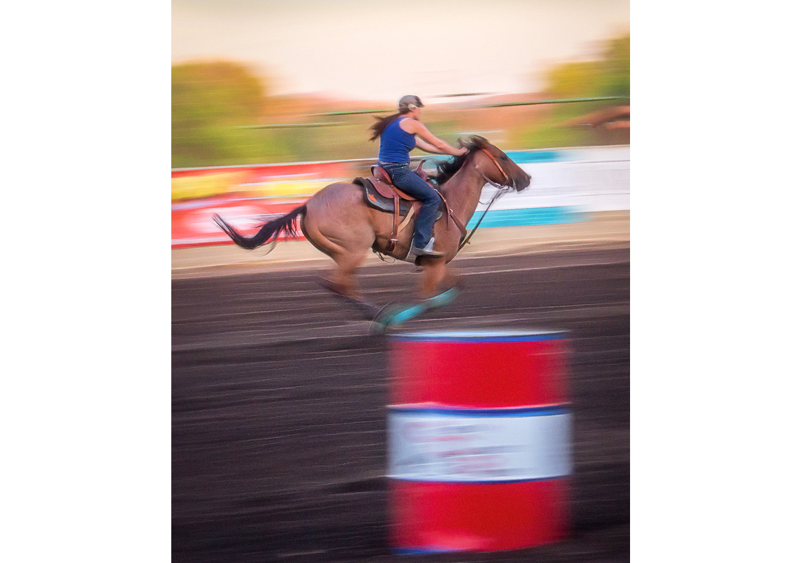 horses-4x6:-39