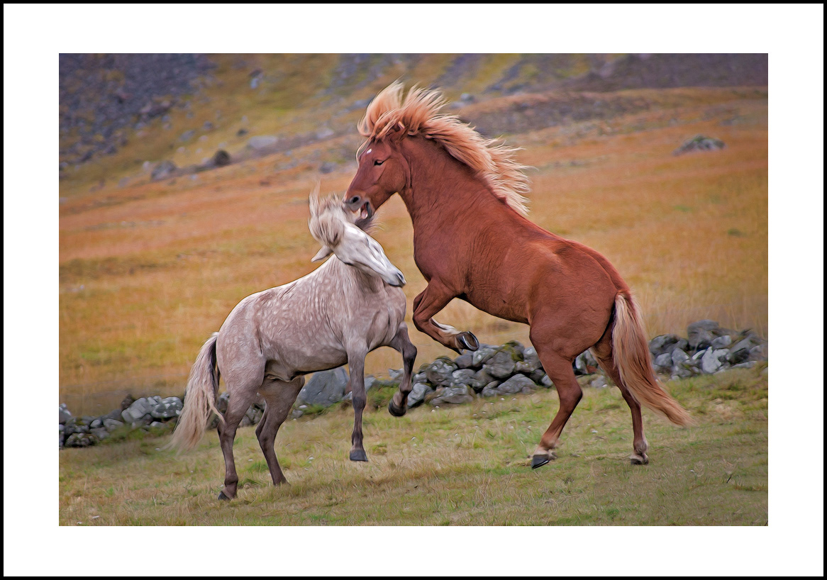 horses-4x6: 421