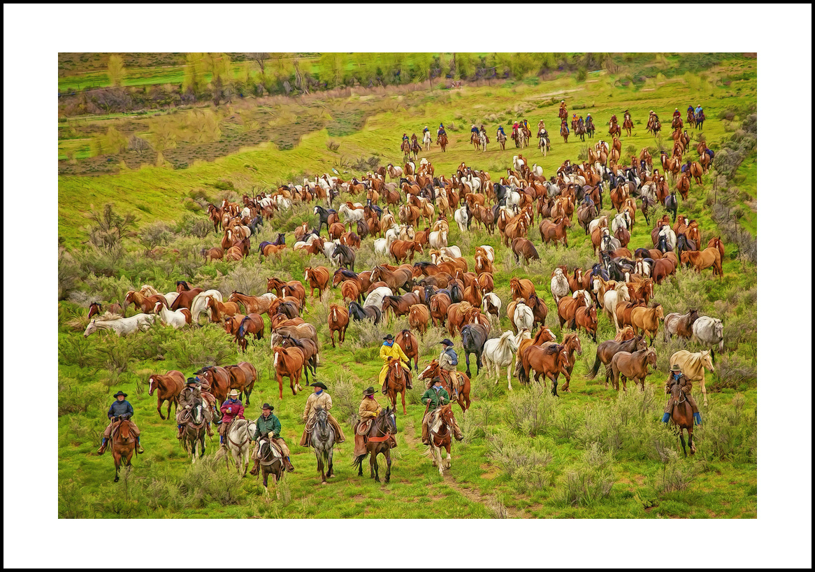 horses-4x6: 04