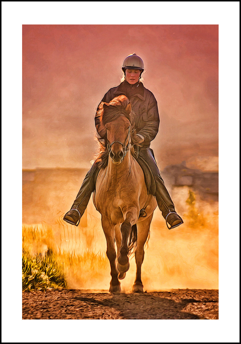 horses-4x6: 552